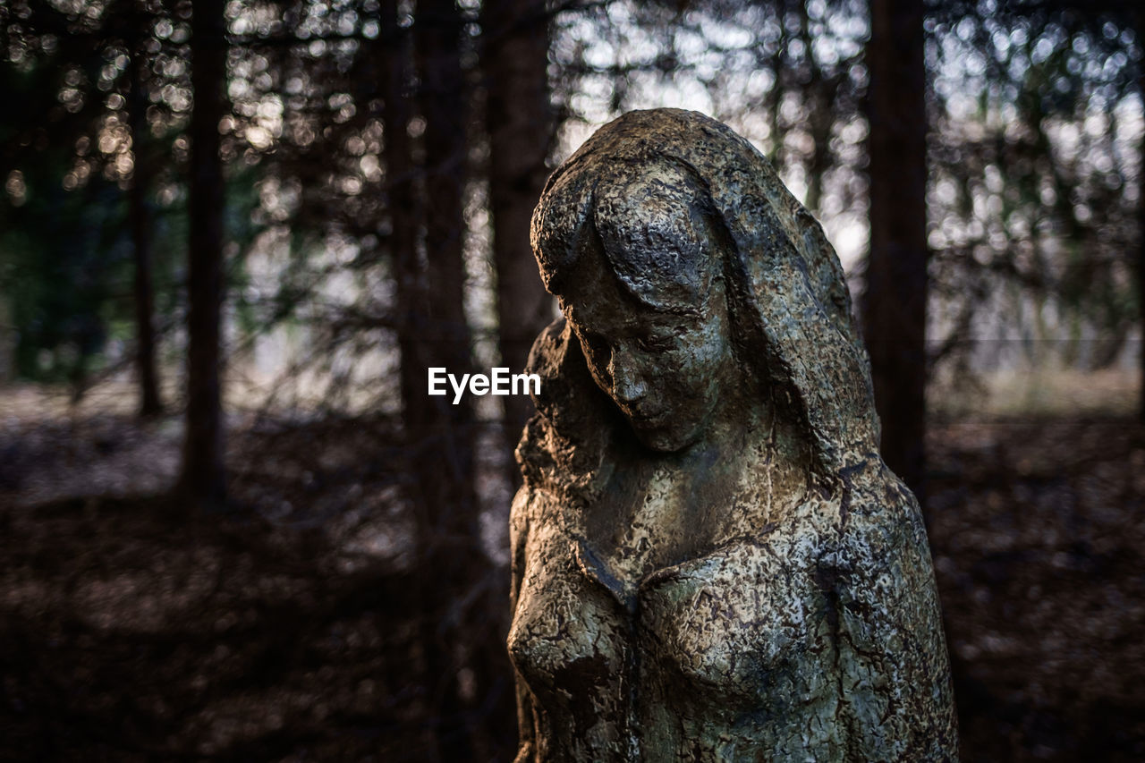 Close-up of old abandoned sculpture against trees during sunset