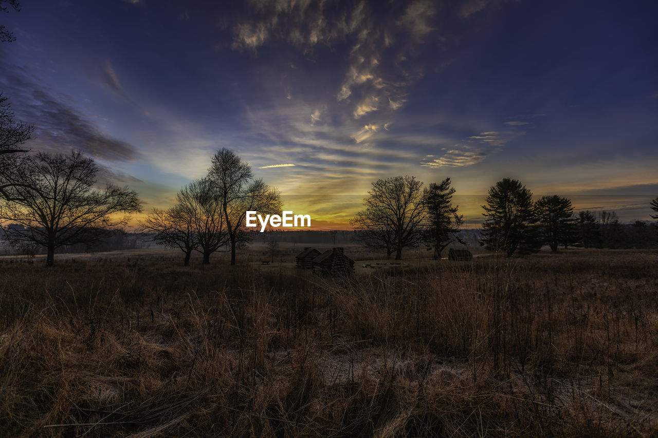 TREES ON FIELD AGAINST SKY AT SUNSET