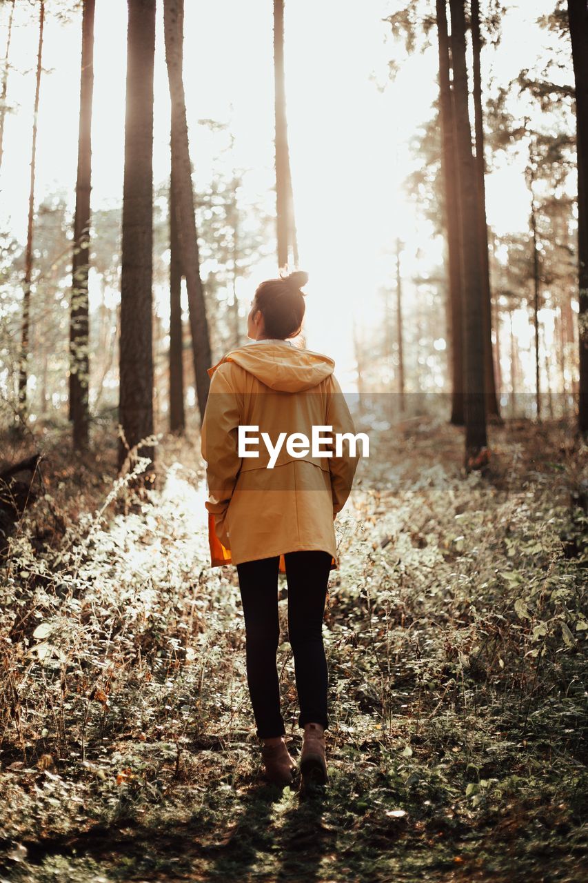 Rear view of woman standing in forest