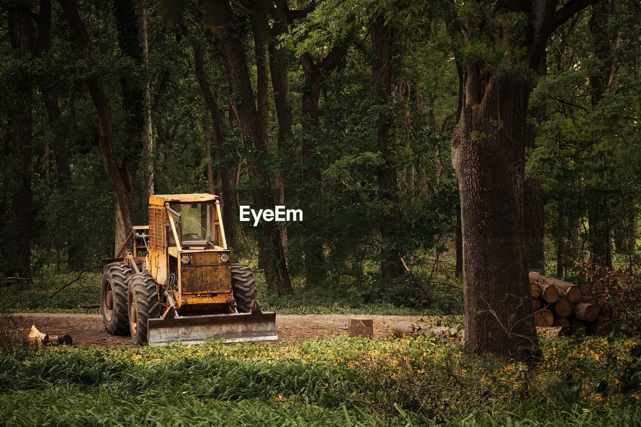 Rusty earth mover in forest