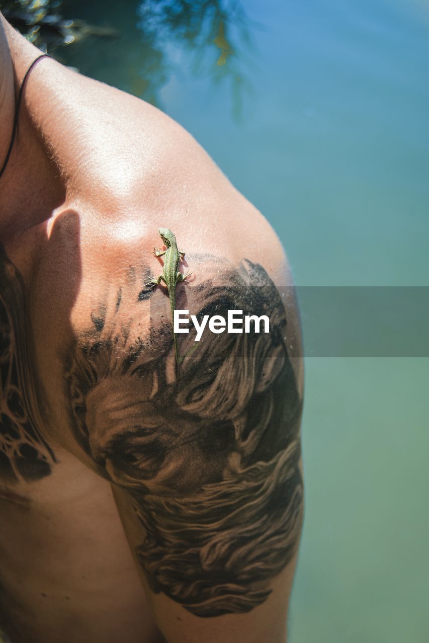 Close-up of lizard on man with tattoo