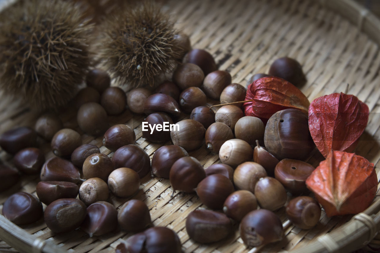 Close-up of chestnut with winter cherries in wicker container