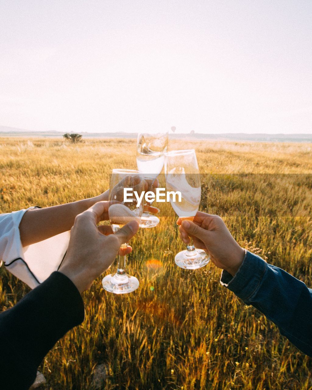 Cropped hands of friends toasting champagne flutes on field against sky