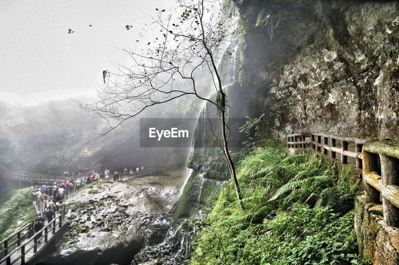 Scenic view of tree mountain during foggy weather