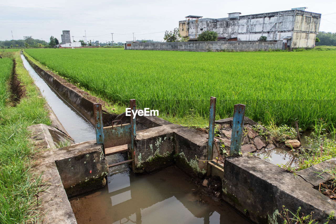 SCENIC VIEW OF FIELD AGAINST BUILDINGS