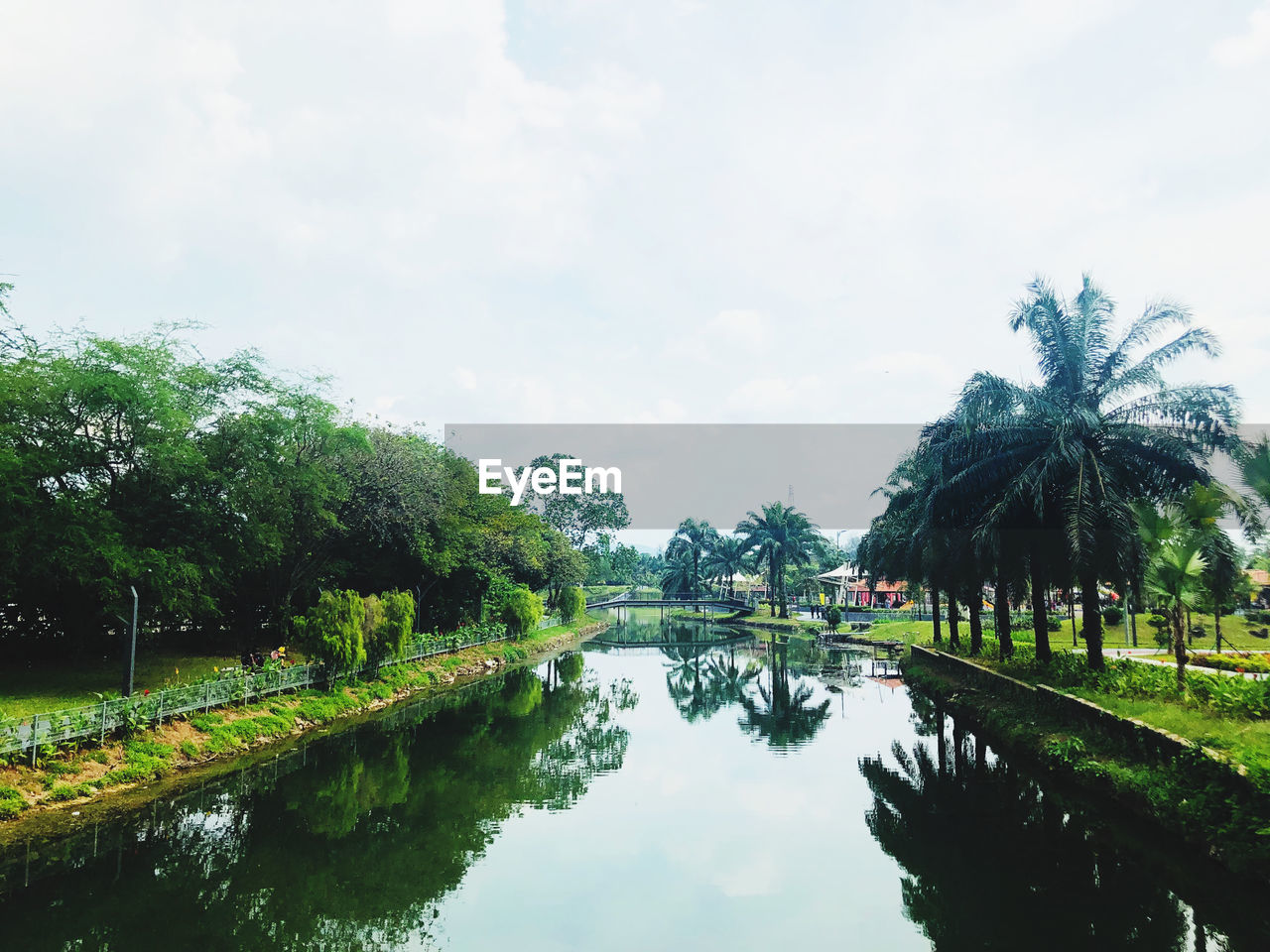 Reflection of palm trees on lake against sky