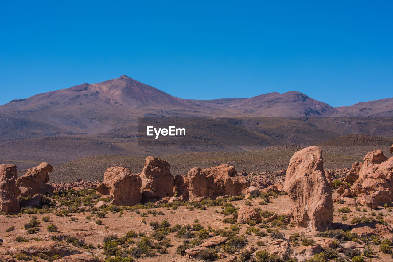 SCENIC VIEW OF DESERT