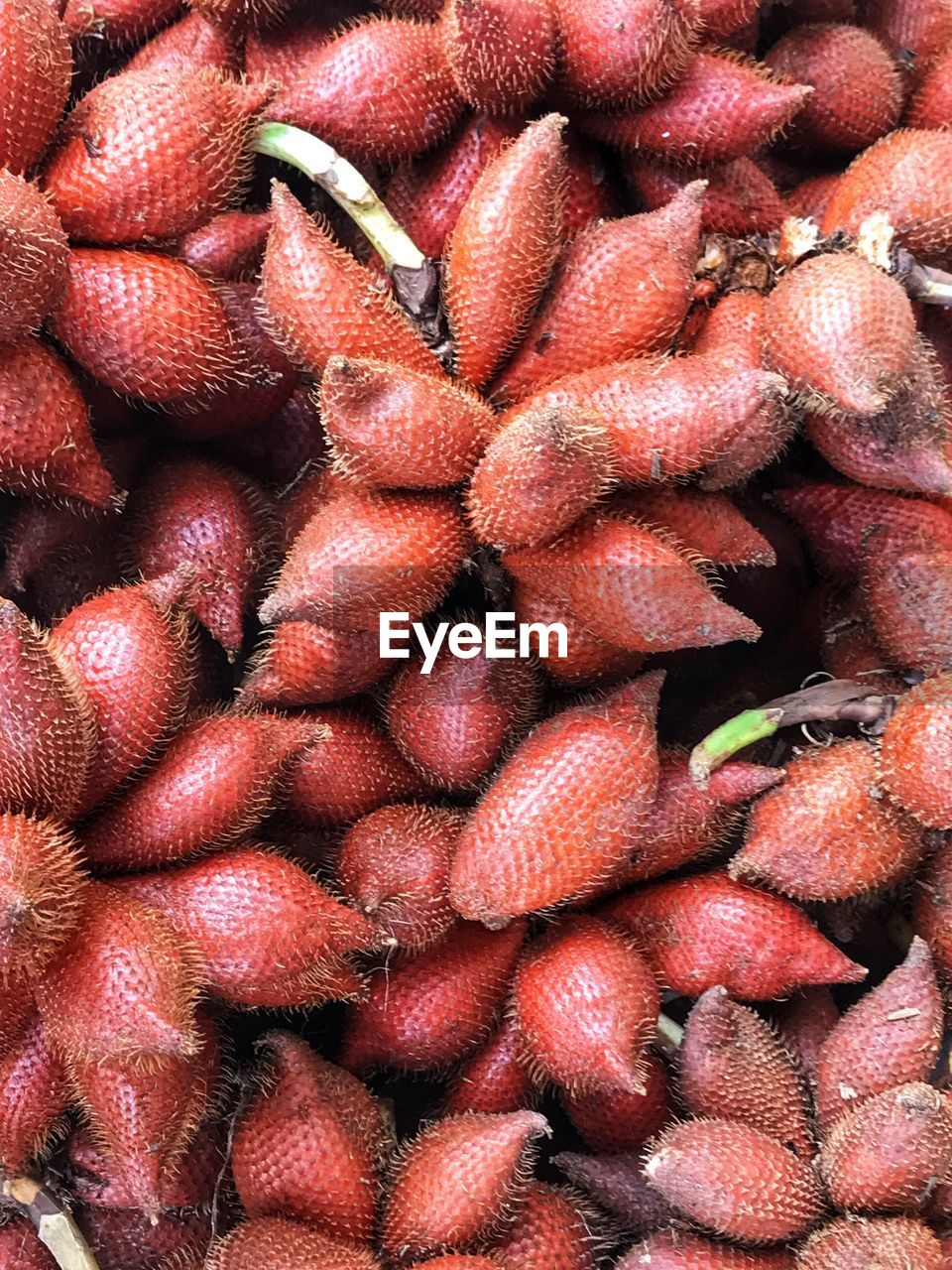 FULL FRAME SHOT OF RED STRAWBERRIES