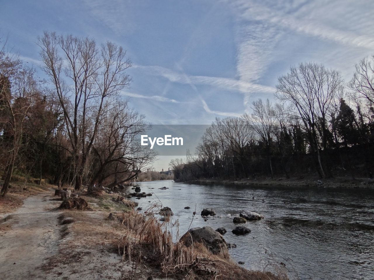 SCENIC VIEW OF BARE TREES BY LAKE