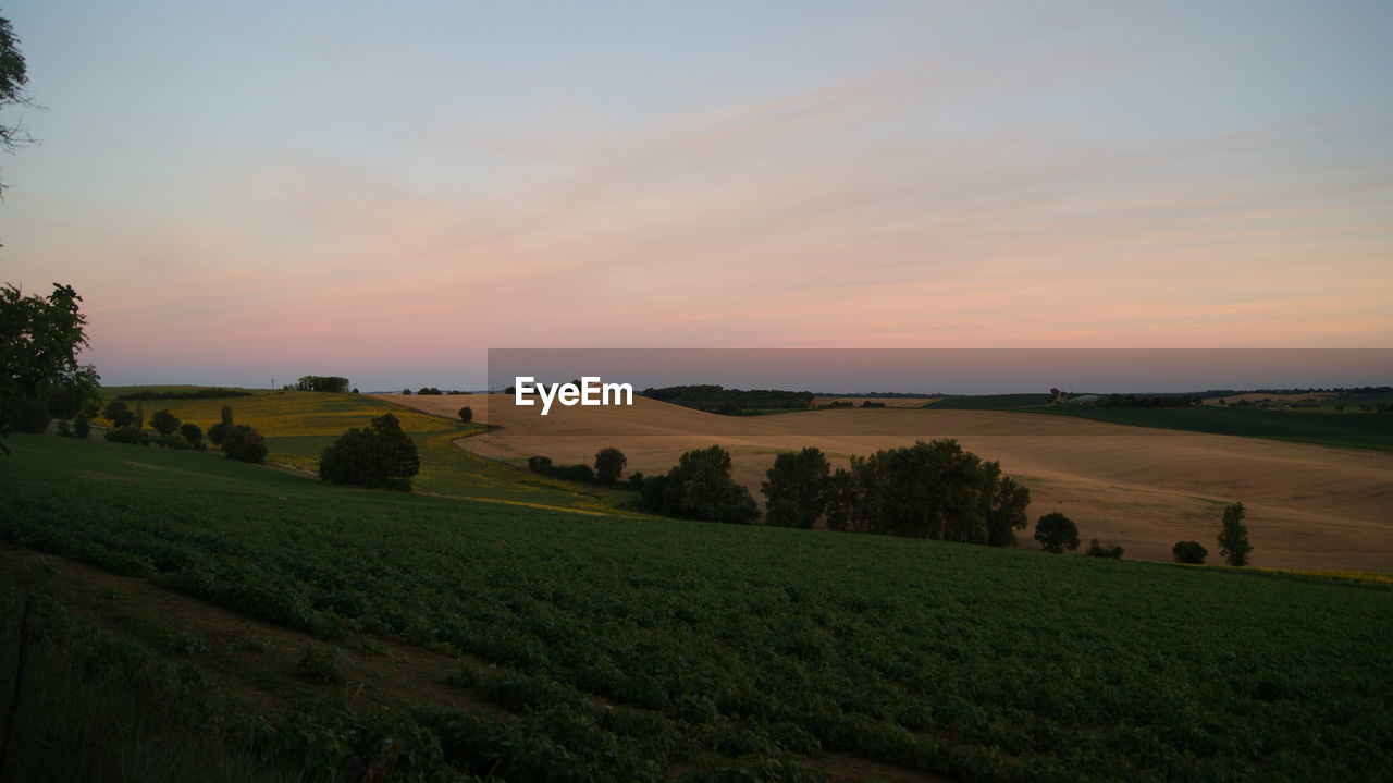 Scenic view of agricultural field against sky during sunset