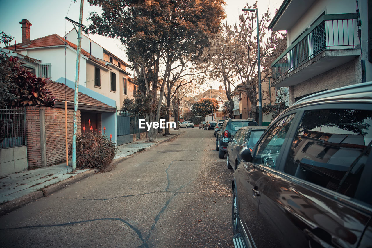 Cars on street in city