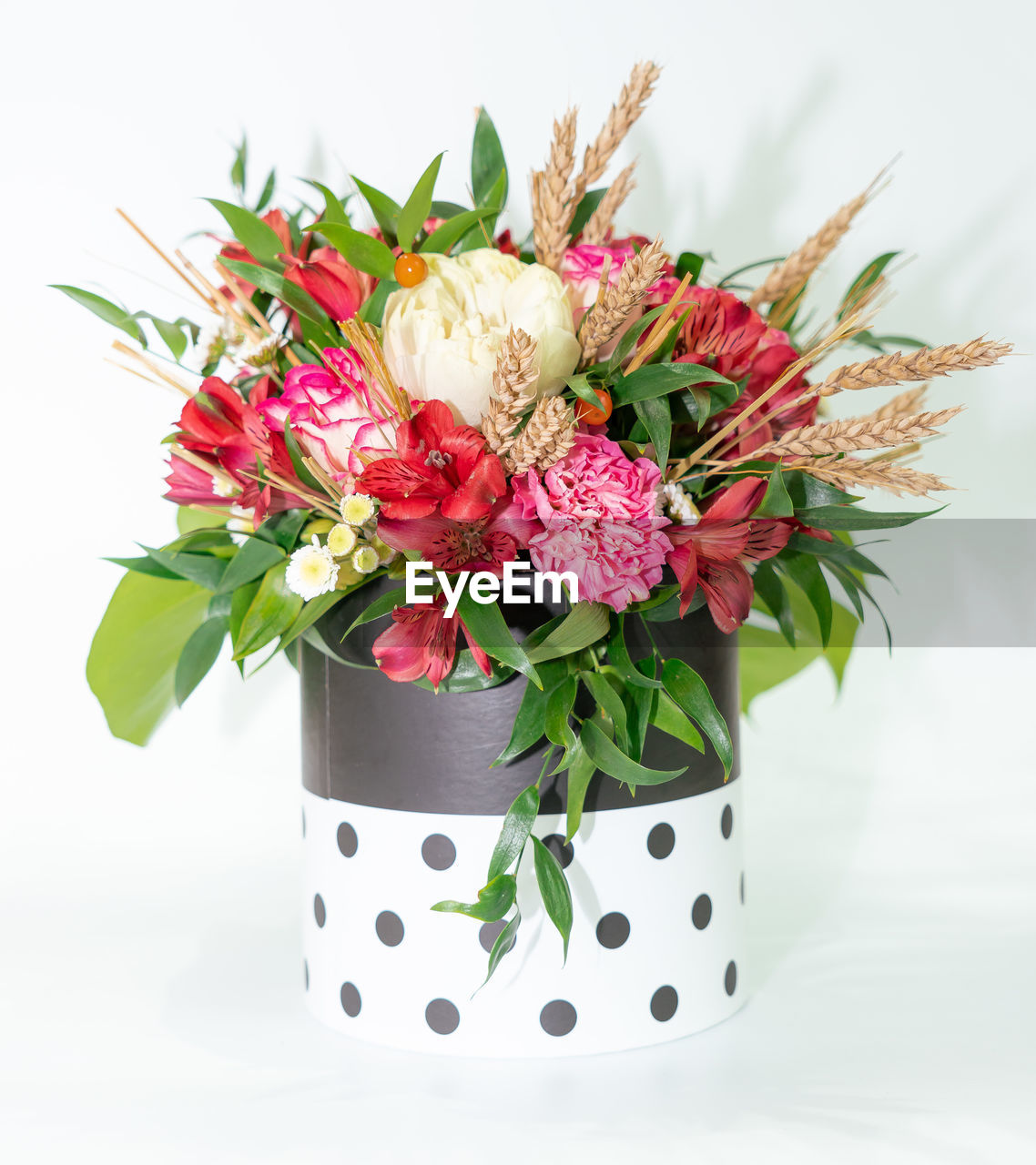 CLOSE-UP OF FLOWER POT