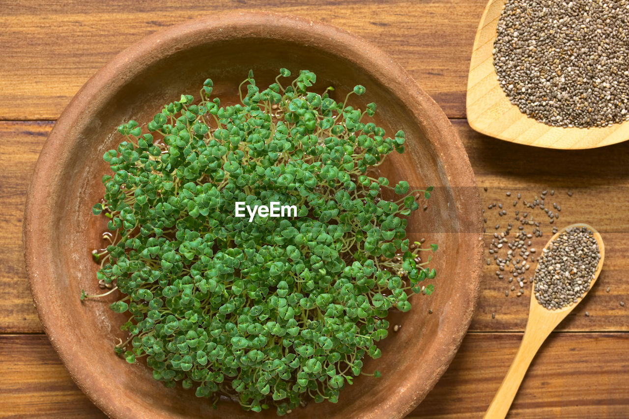 HIGH ANGLE VIEW OF VEGETABLES IN BOWL ON WOODEN FLOOR