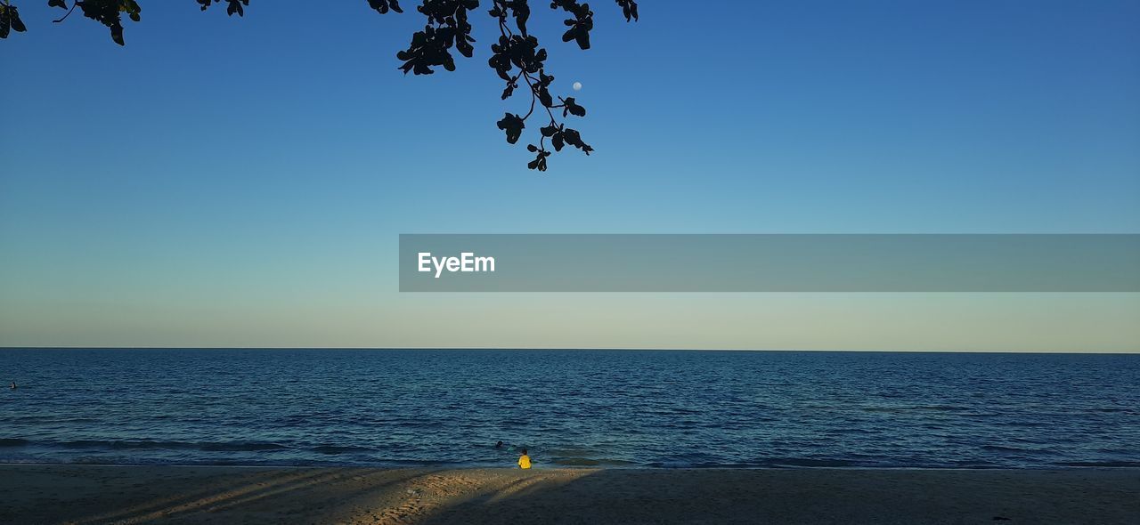 SCENIC VIEW OF BEACH AGAINST CLEAR SKY