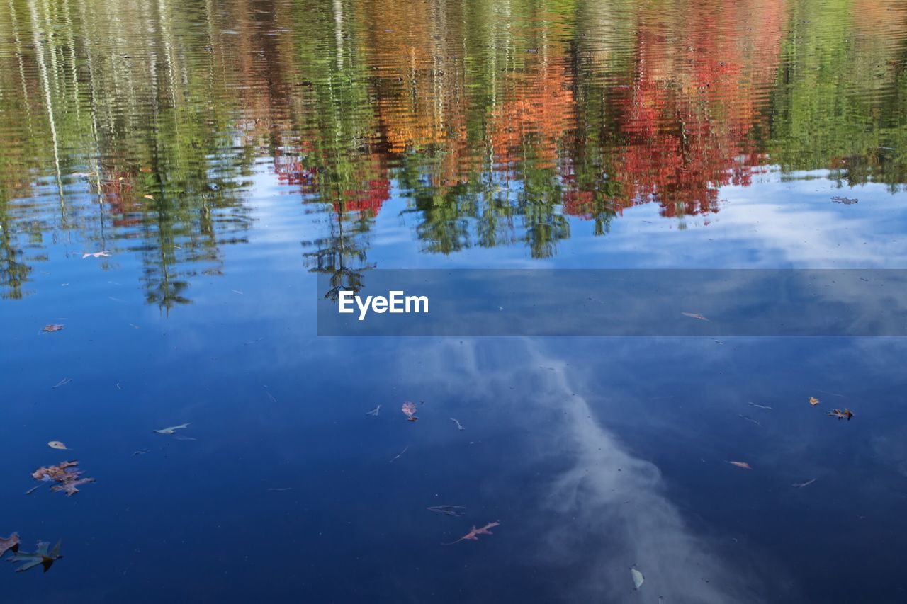 High angle view of lake with tree and cloud reflection
