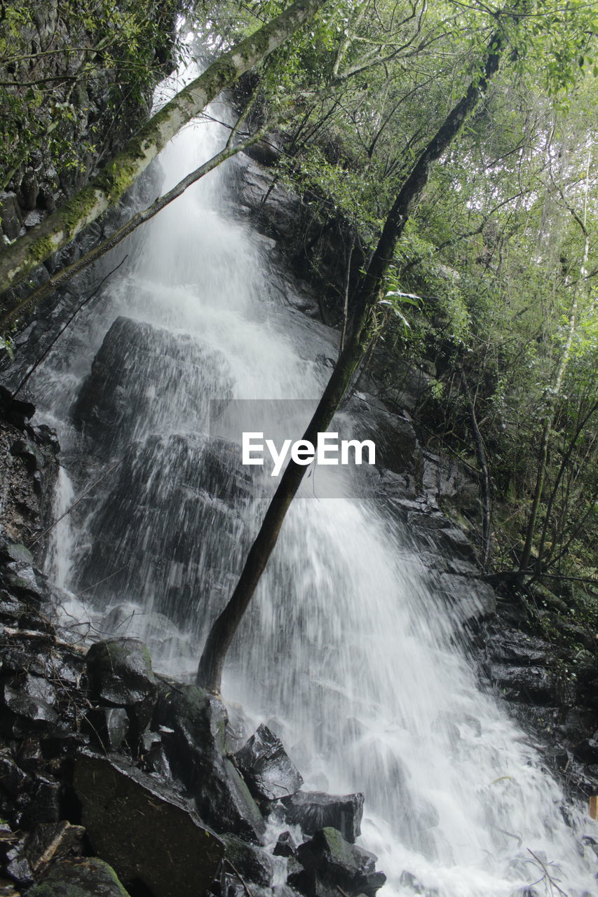VIEW OF WATERFALL IN FOREST