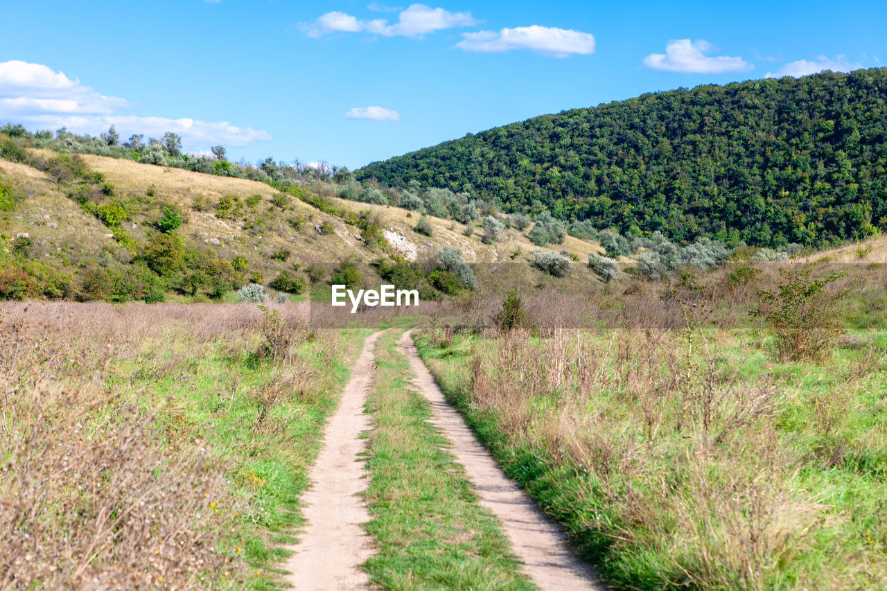 Country road in nature . hiking path with natural landscape . walking in the springtime