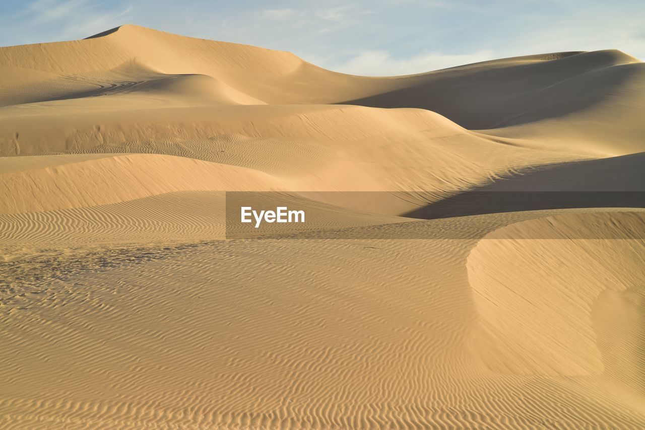 Sand dunes in a desert