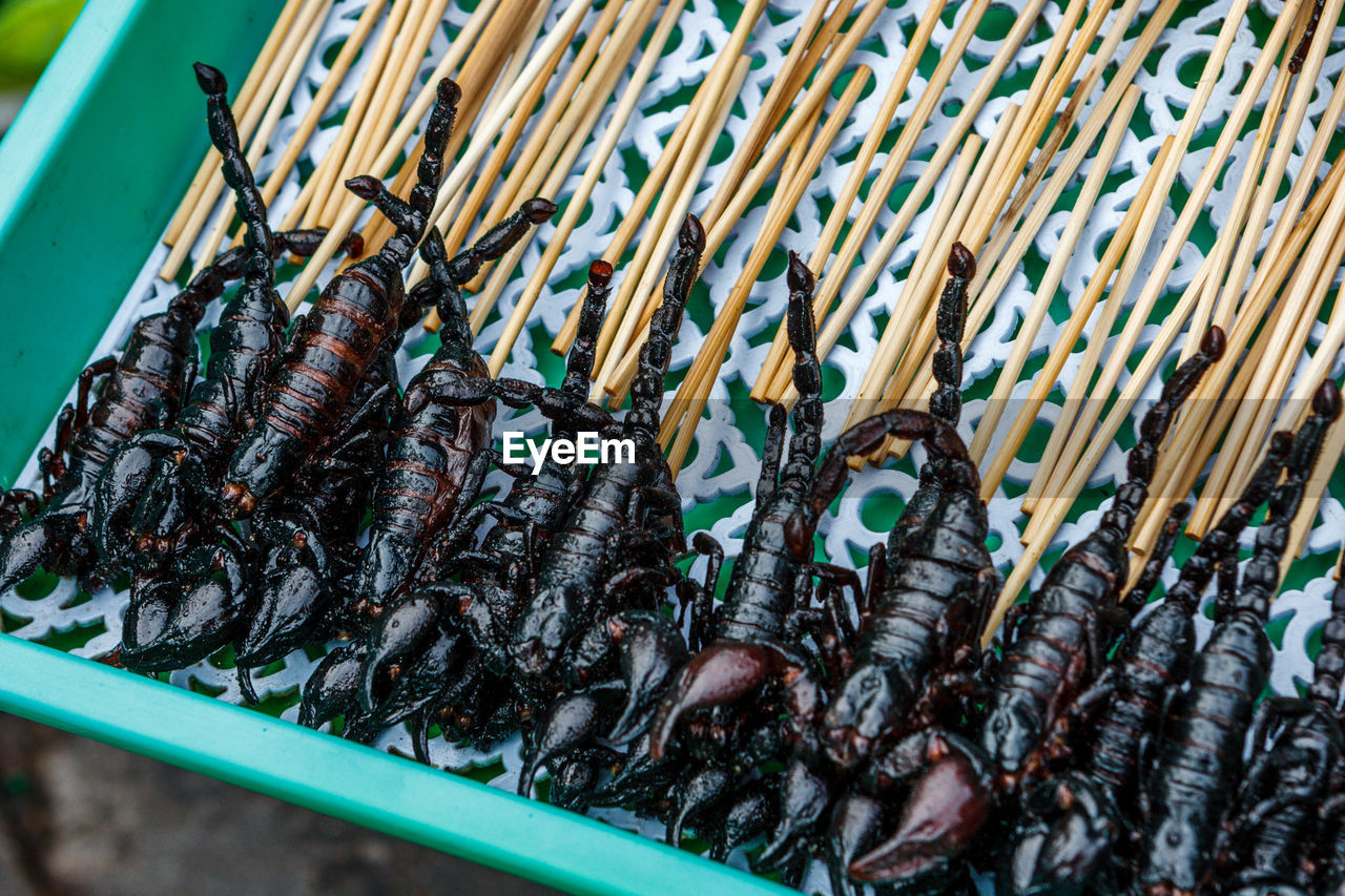 Close-up of fried scorpions in container