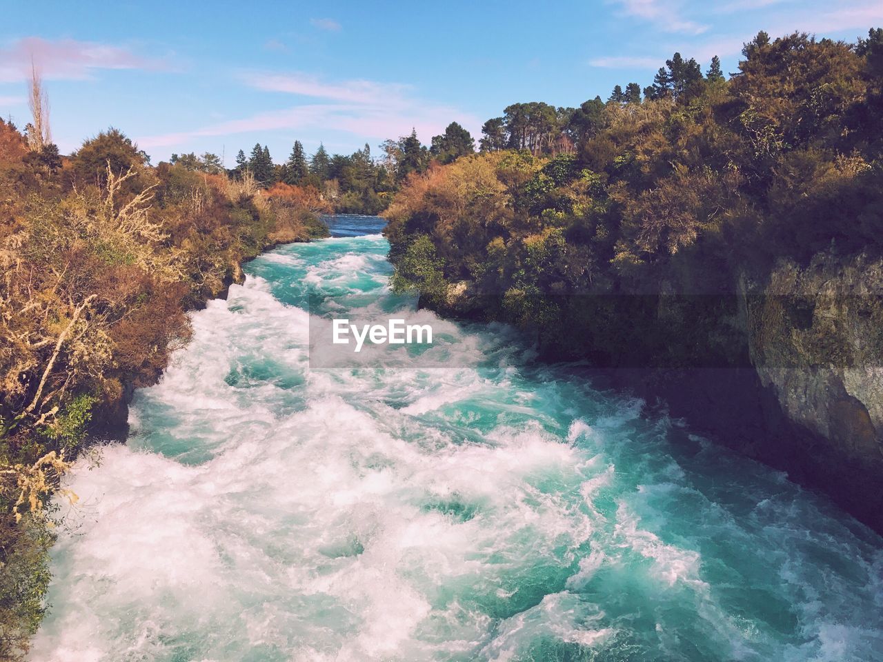 Scenic view of river amidst trees against sky