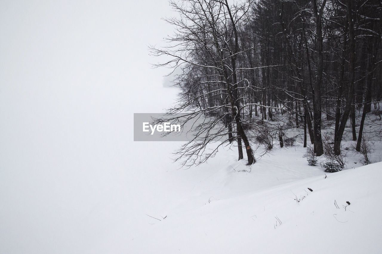 BARE TREE ON SNOW COVERED LANDSCAPE