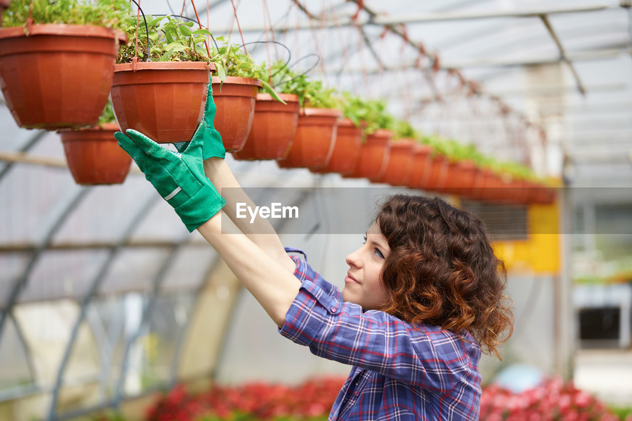 Woman arranging potted plants in nursery