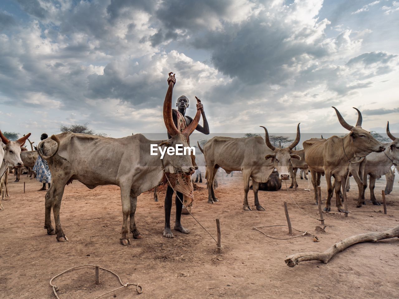 HORSES STANDING IN FIELD