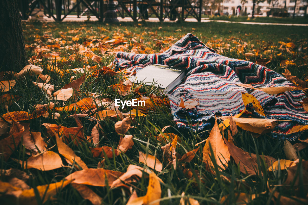 Book with mat on grassy field during autumn