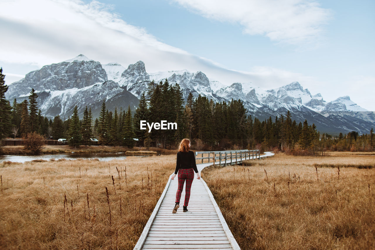 Back view of unrecognizable woman walking on curvy boardwalk located in grassy valley near coniferous forest and snowy mountain ridge in town of canmore, alberta