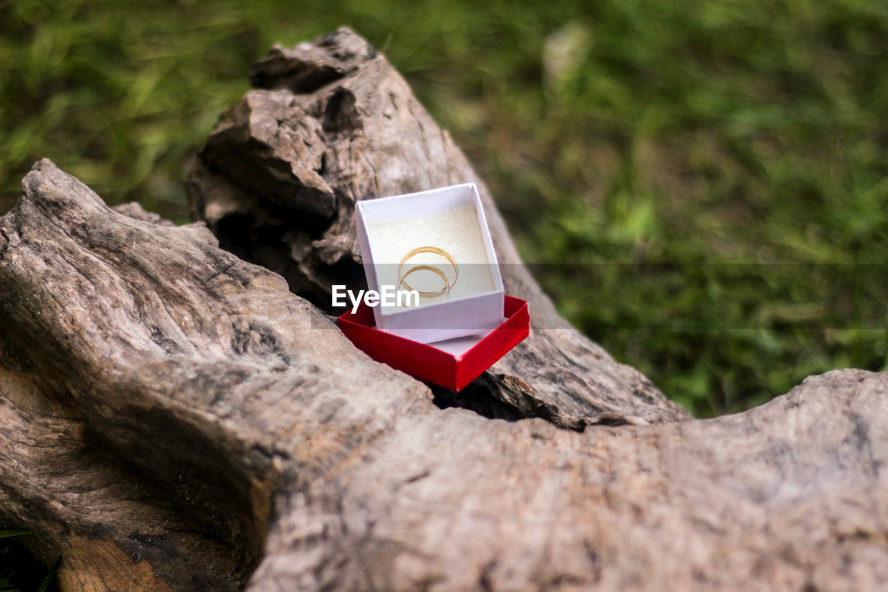 High angle view of wedding rings in box on wood