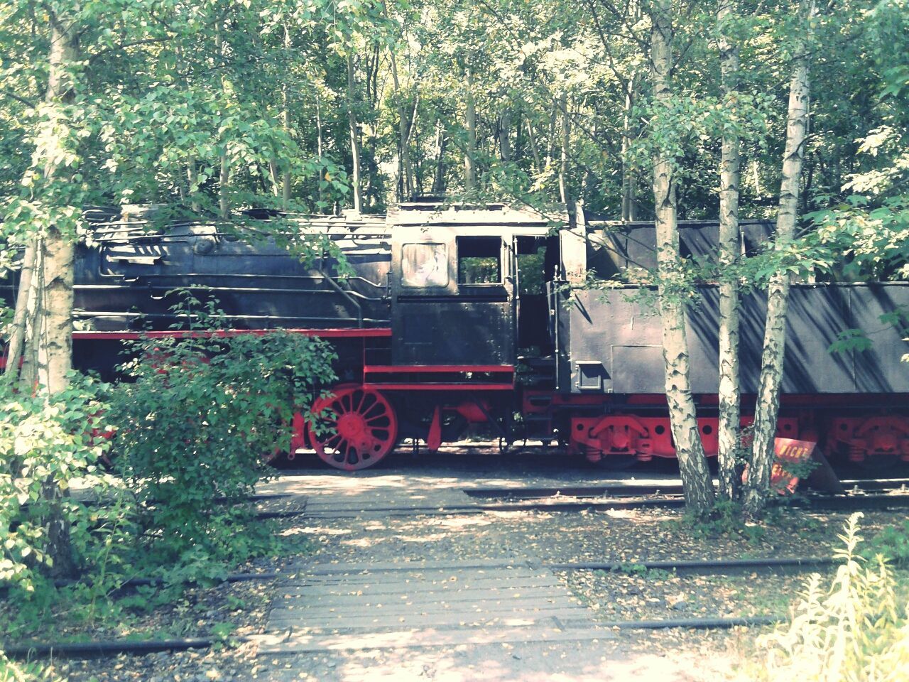 Vintage steam locomotive