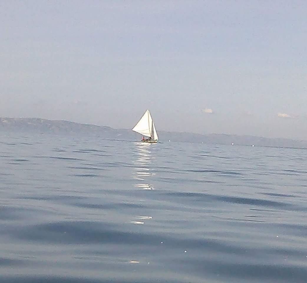 SAILBOAT SAILING ON SEA