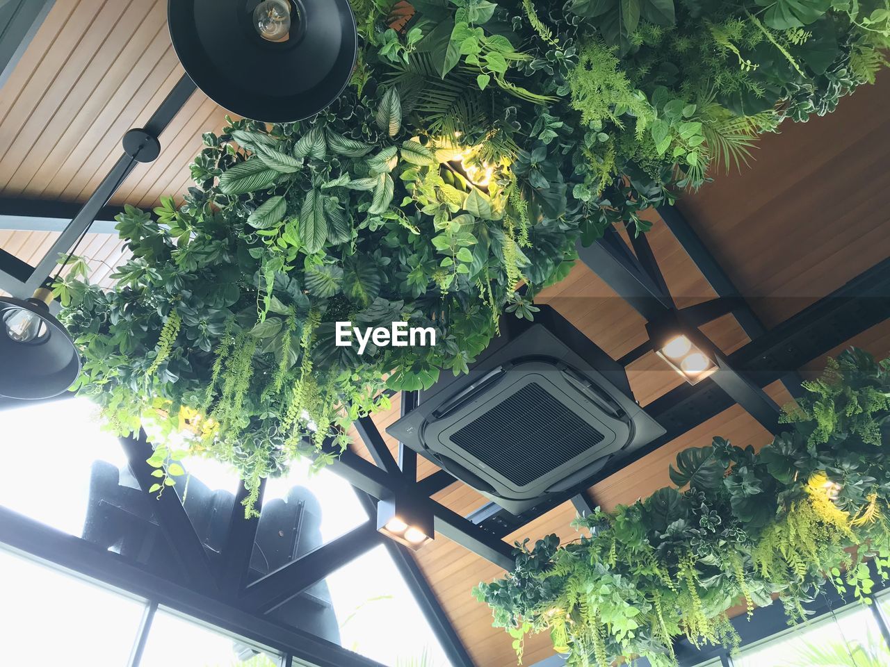 LOW ANGLE VIEW OF POTTED PLANT OUTSIDE HOUSE