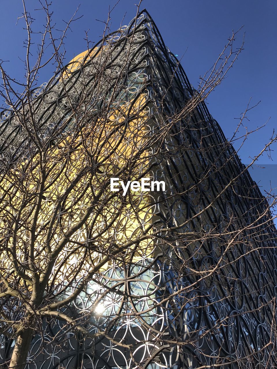 LOW ANGLE VIEW OF BARE TREE AND BUILDING AGAINST SKY