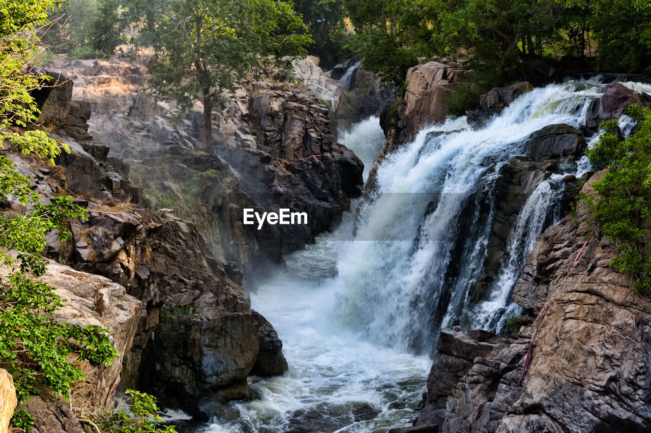 Scenic view of waterfall in forest