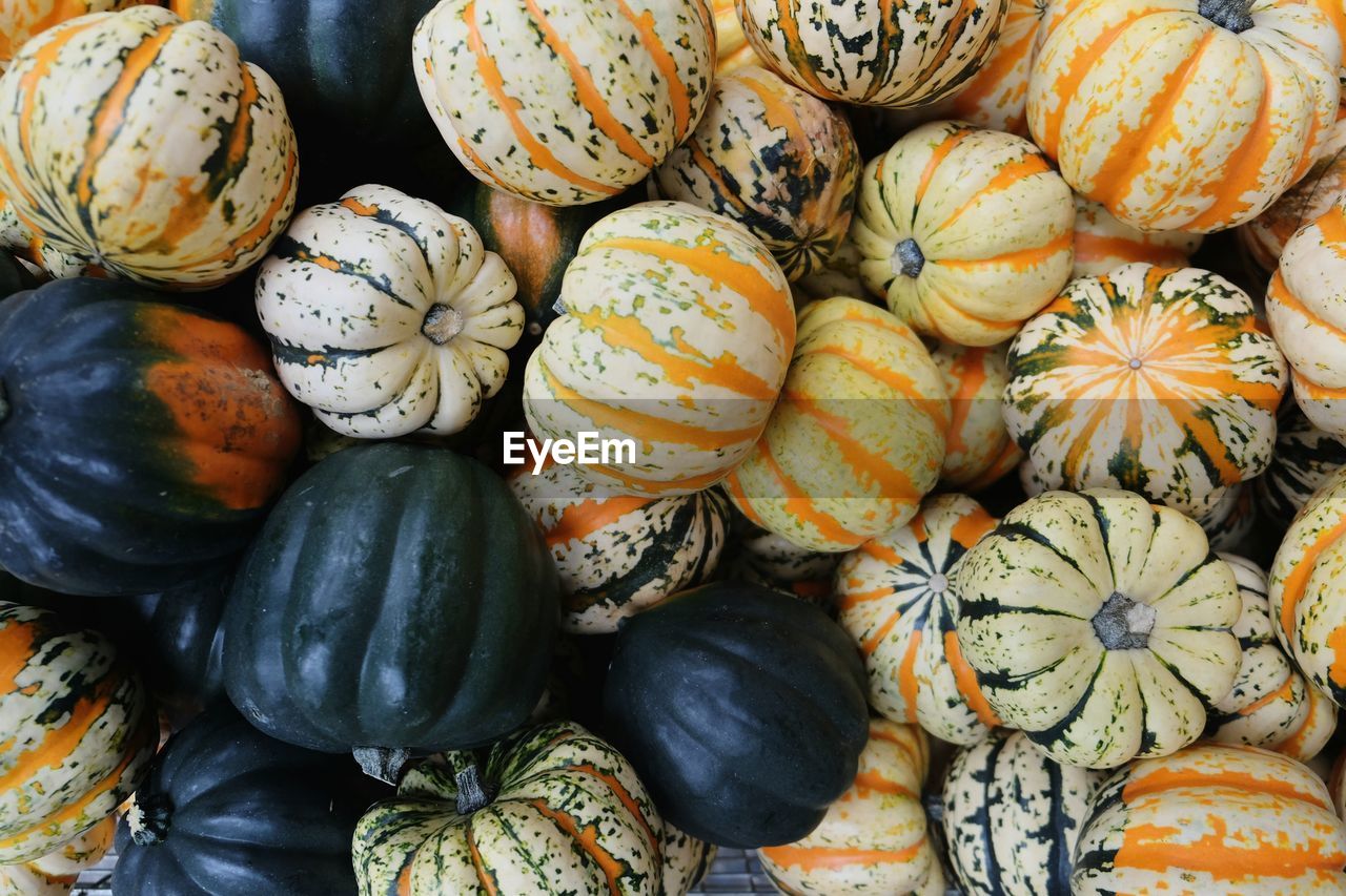 Full frame shot of pumpkins