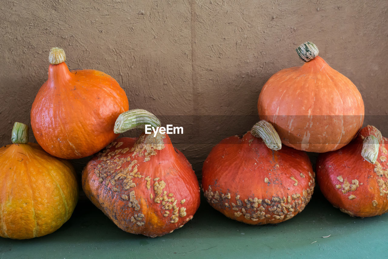 Close-up of pumpkins on table during autumn