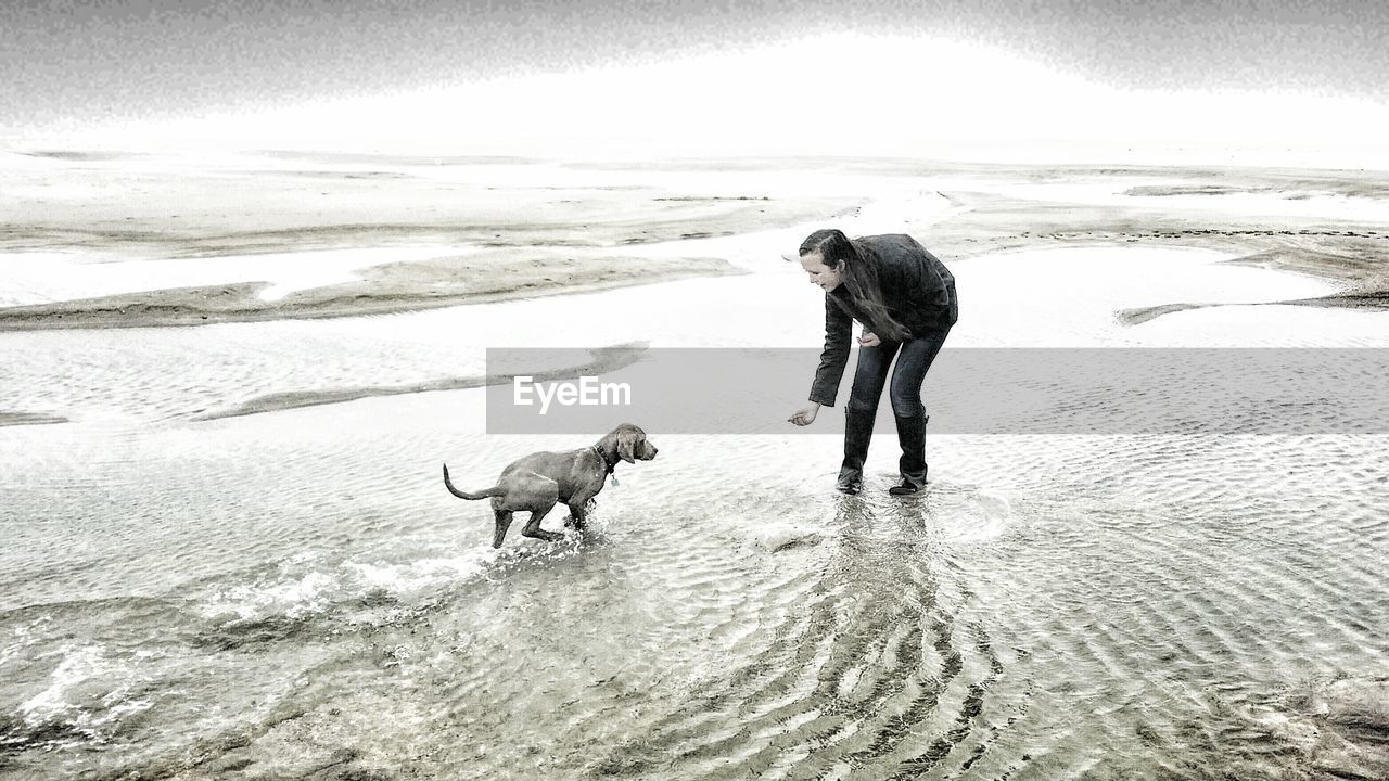 DOG RUNNING ON SHORE