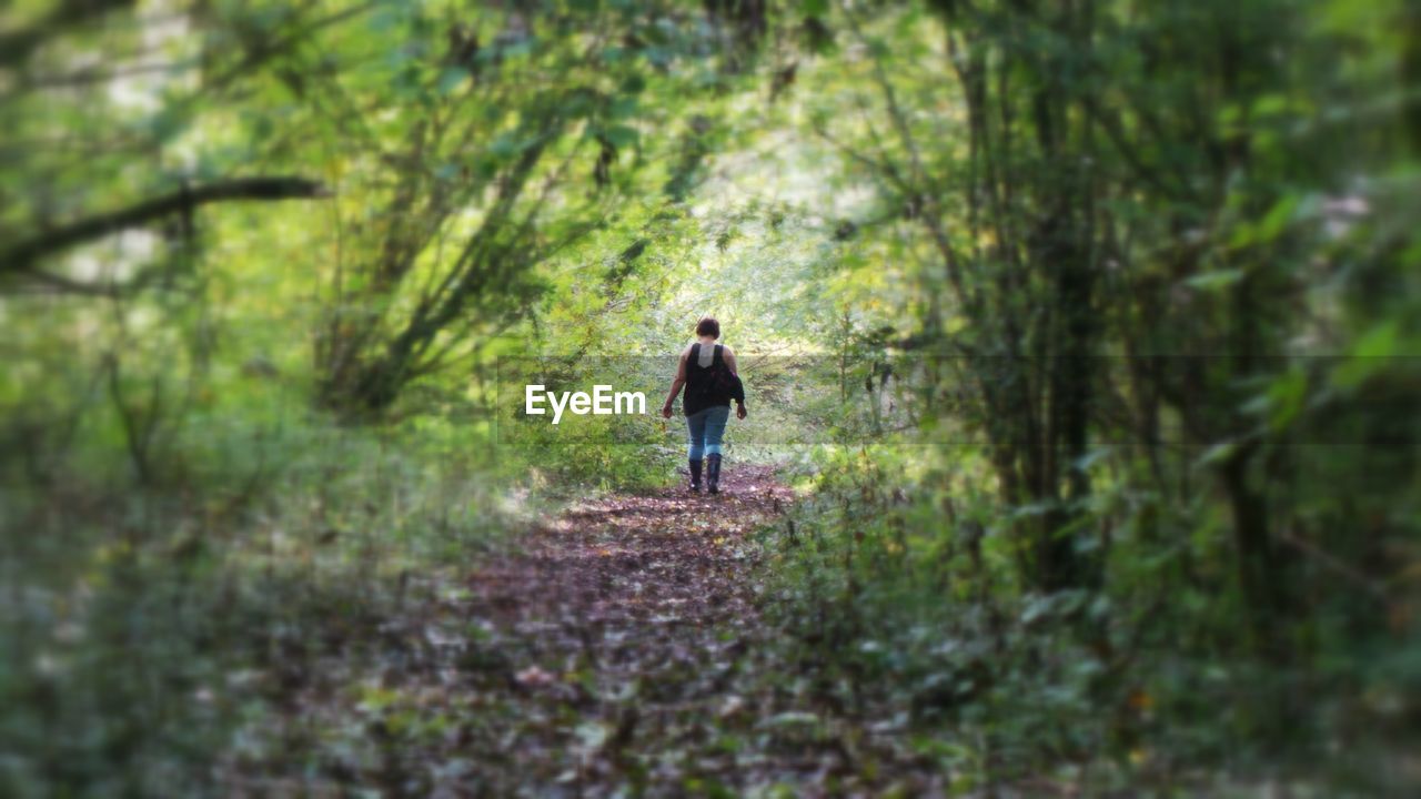 REAR VIEW OF WOMAN WALKING IN FOREST