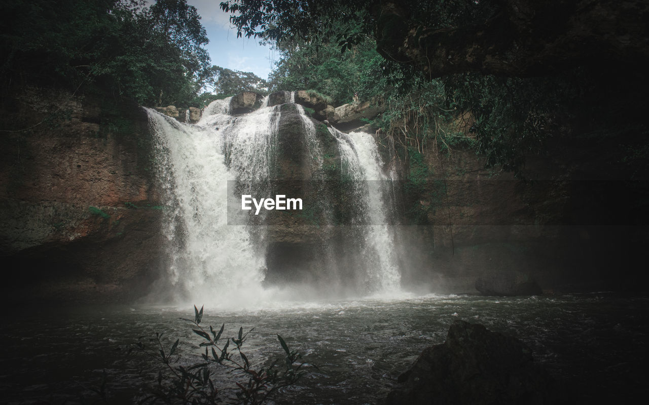 Scenic view of waterfall in forest