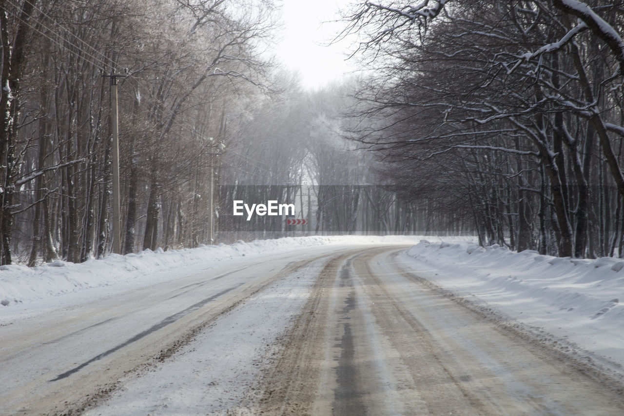 ROAD AMIDST BARE TREES DURING WINTER