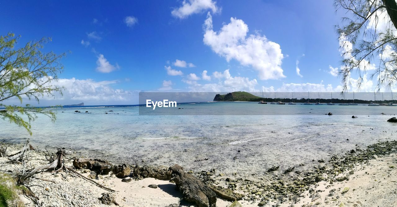 SCENIC VIEW OF BEACH AGAINST BLUE SKY