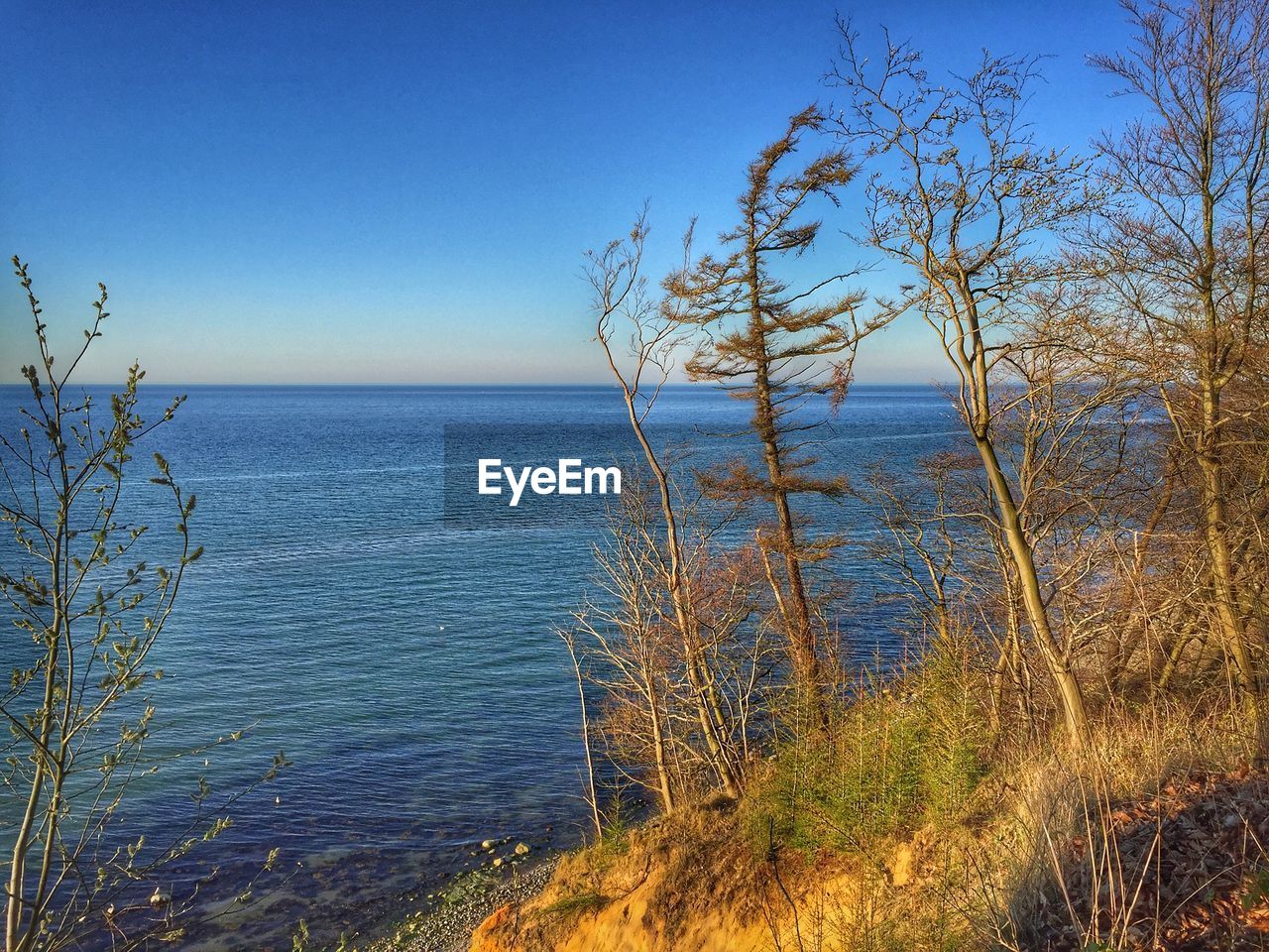 Scenic view of sea against clear blue sky