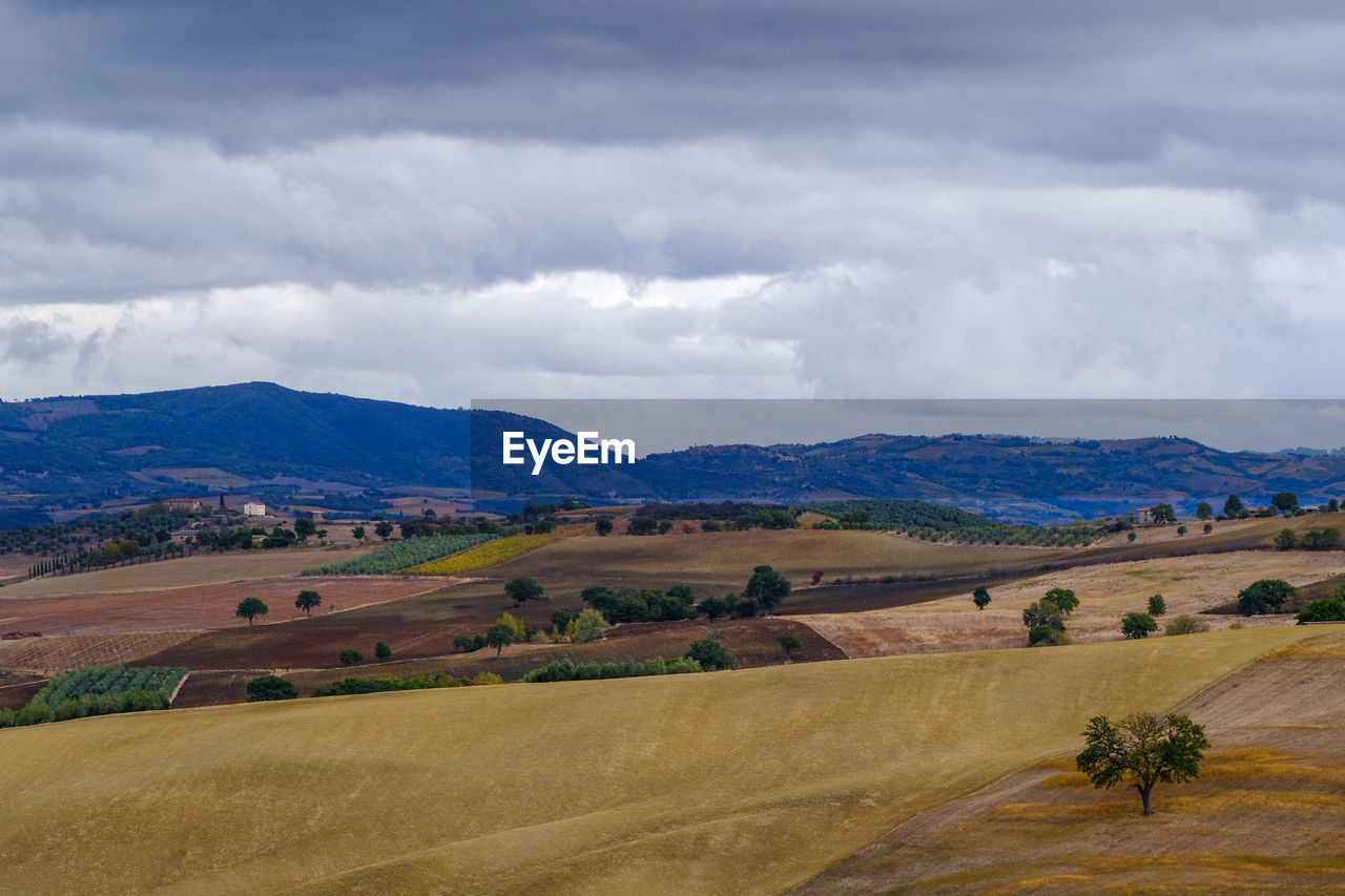 landscape, environment, scenics - nature, cloud, land, sky, hill, plain, beauty in nature, nature, rural scene, field, rural area, plant, grassland, agriculture, tranquility, no people, tranquil scene, non-urban scene, prairie, plateau, horizon, mountain range, steppe, road, tree, day, travel, outdoors, travel destinations, valley, grass, remote, dramatic sky, farm, semi-arid, overcast, tourism, idyllic, cloudscape, highland