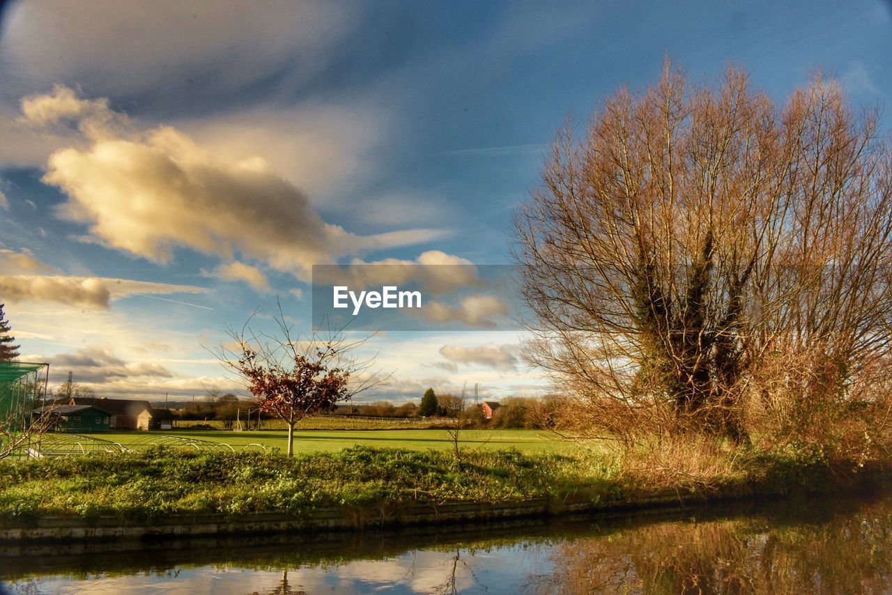 TREES ON FIELD BY LAKE AGAINST SKY