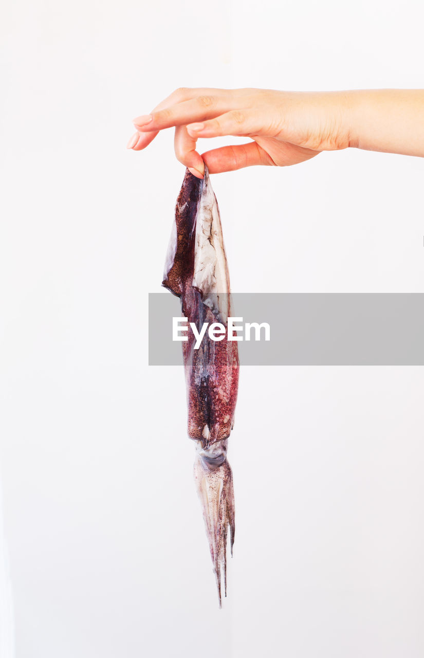 CLOSE-UP OF PERSON HOLDING FISH AGAINST WHITE BACKGROUND