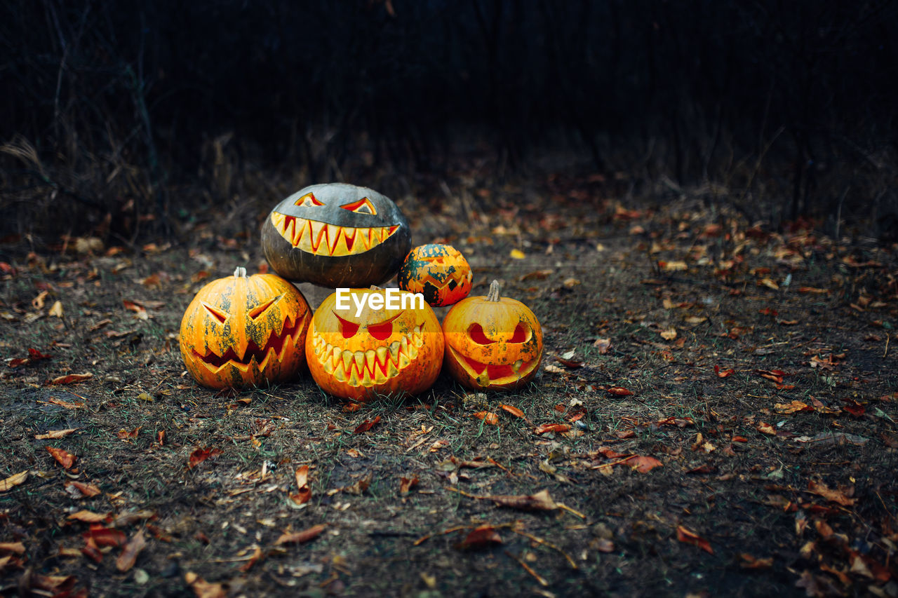 CLOSE-UP OF PUMPKIN ON AUTUMN LEAVES