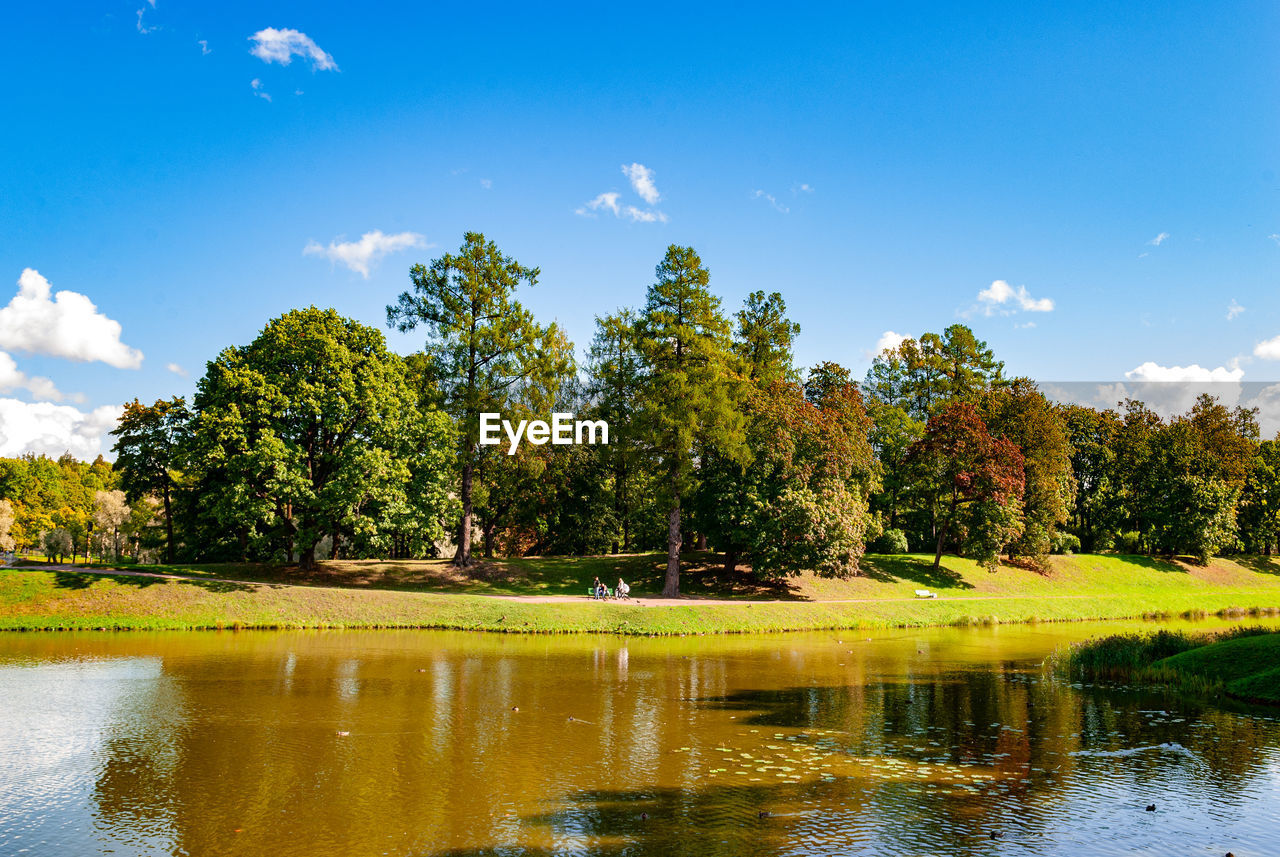 TREES BY LAKE AGAINST SKY