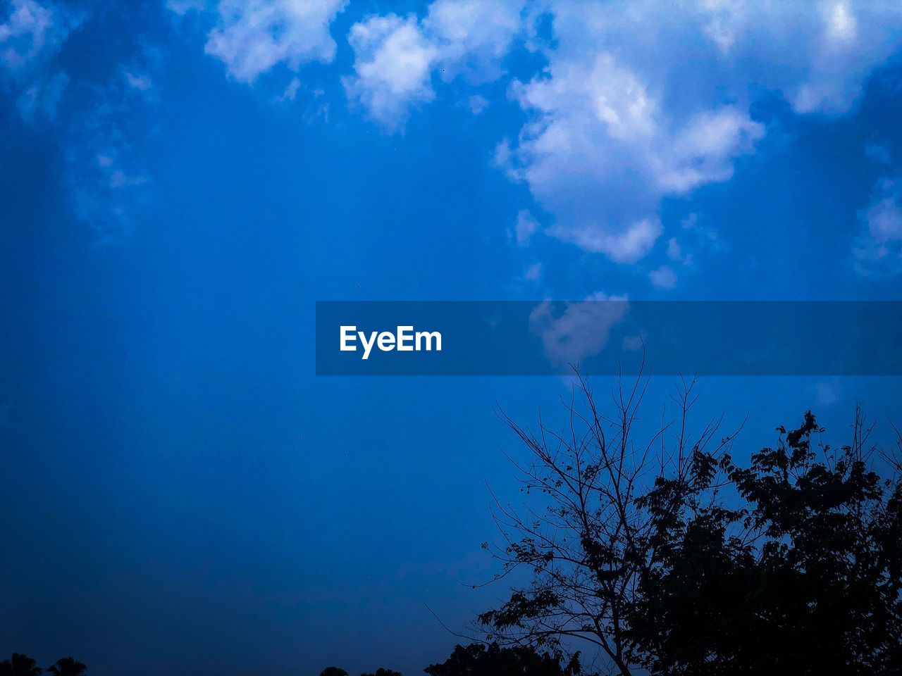 LOW ANGLE VIEW OF BARE TREES AGAINST BLUE SKY