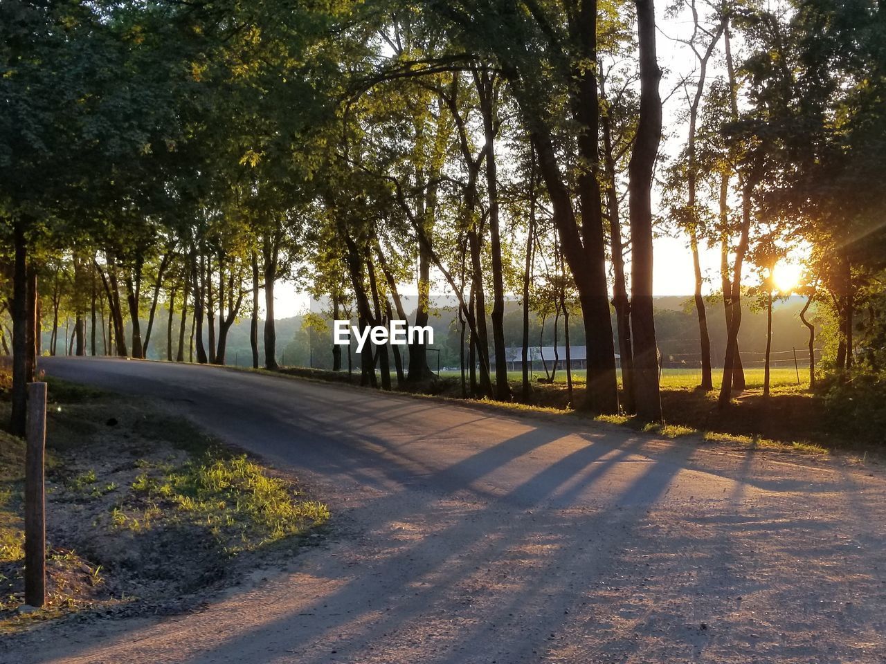 TREES BY ROAD AGAINST SKY DURING SUNSET